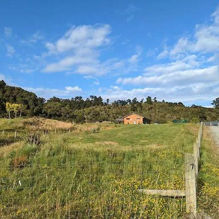 Enchanted Retreat In Greymouth Shared With Host Exterior foto